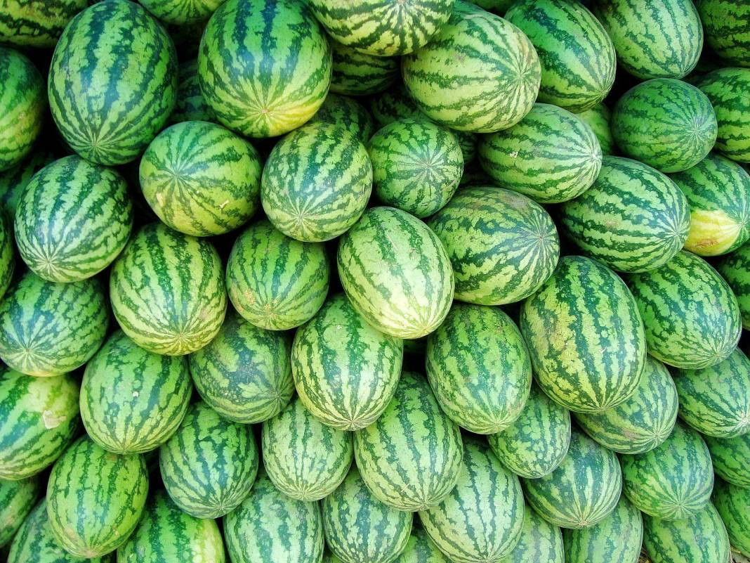 Usta manavlar biliyor sadece bu sırları! Karpuz seçerken yapın asla kelek çıkmıyor - Resim: 18